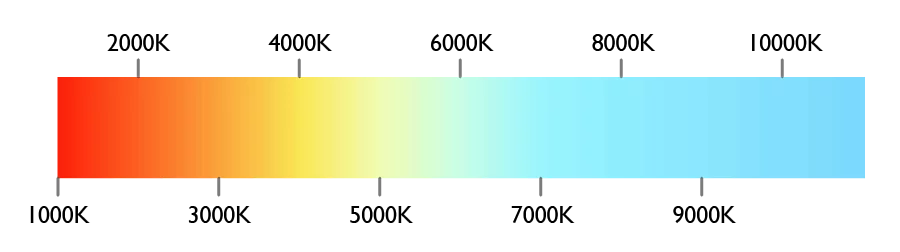 LED燈泡、省電燈泡差在哪？4種常見家用燈泡種類全解析！